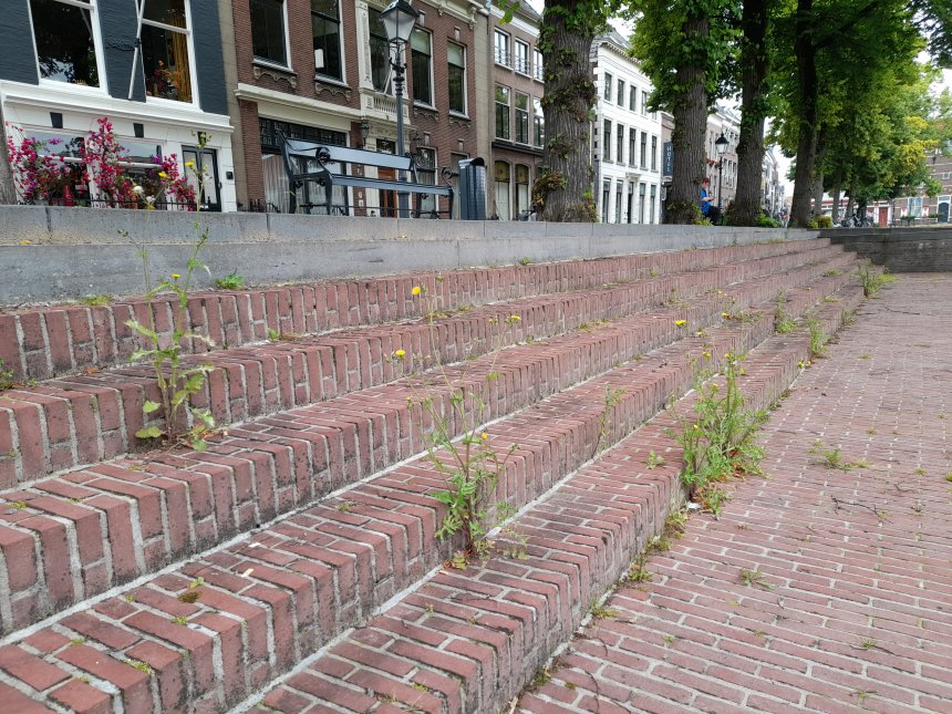 Steeds meer en hoger onkruid op de trappen langs de Lingehaven.