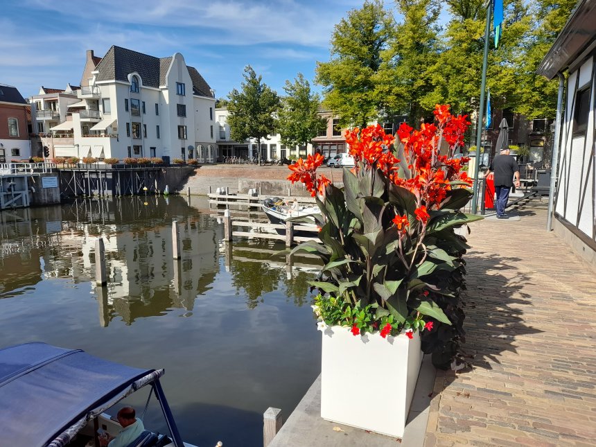 De bak met bloeiende canna's bij het passantengebouwtje in de Lingehaven. Links op de achtergrond ons huis.
