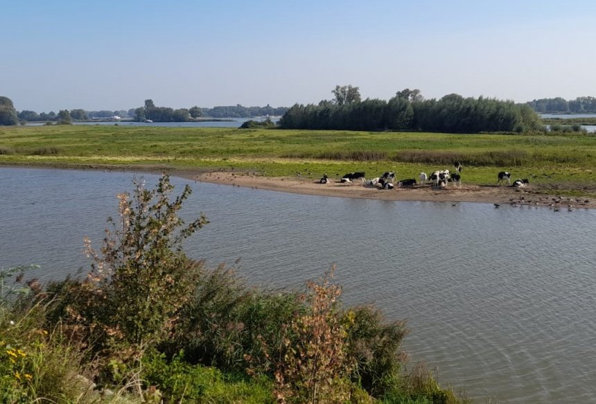 De Merwede met uiterwaard en in de verte Woudrichem, vanaf de Altenawal.