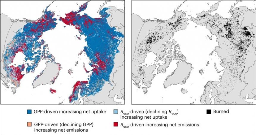 Netto uitstoot van broeikasgassen in arctische en subarctische gebieden (links) en verbrande regio's (rechts). GPP = Gross Primary Productivity; Reco = ecosystem respiration (uit besproken artikel)