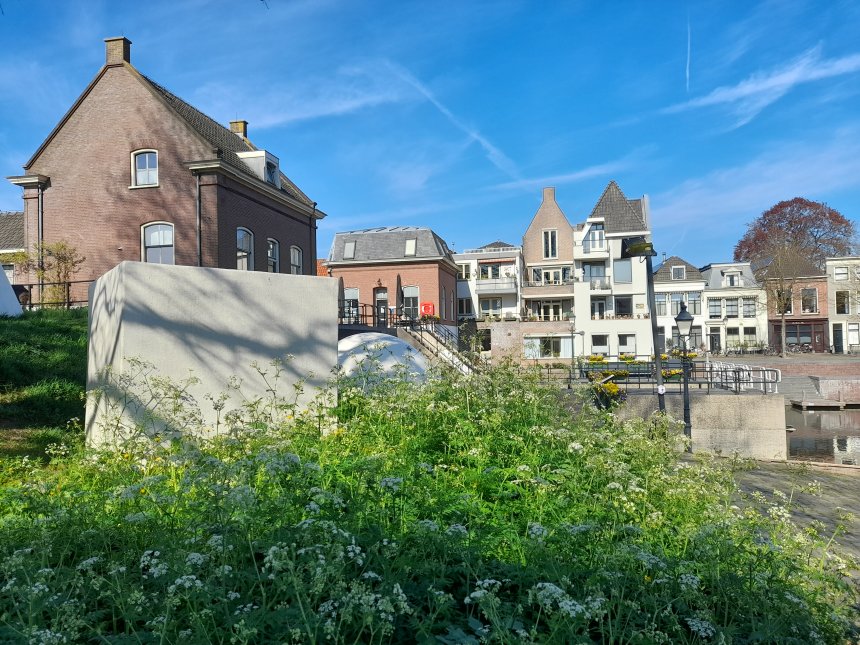 Welig groeit het fluitekruid bij de beelden van Winiarski op de Kriekenmarkt. Op de achtergrond de sluis en daarachter ons huis.