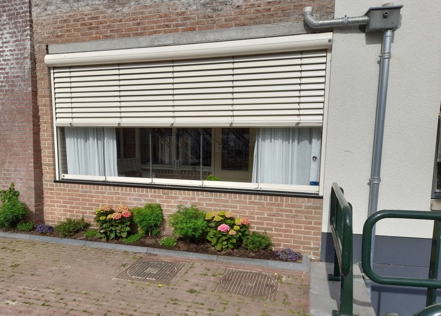 In ons geveltuintje raken de beide roze hortensia's in bloei.