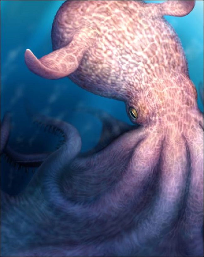 Artists' impression van Nanaimoteuthis, de Reuzenkraken (beeld: Yohei Utsuki/Hokkaido University)