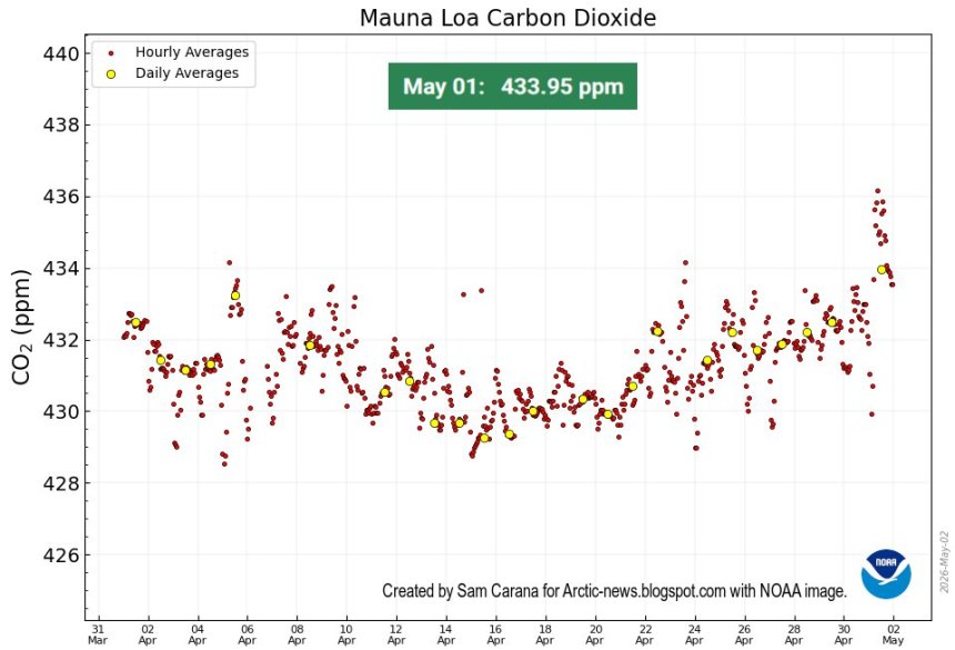 CO2-waarden op Mauna Loa, Hawaii van de laatste 31 dagen. Per uur in rood, per dag in gele cirkeltjes (image: NOAA)