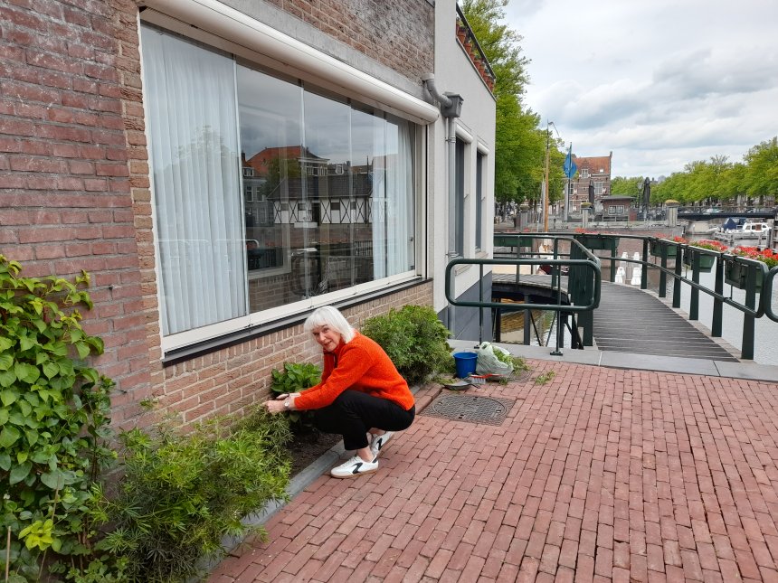 Gisteren snoeide Anna nog de uitgebloeide Choisya's voor ons vertrek met de boot.