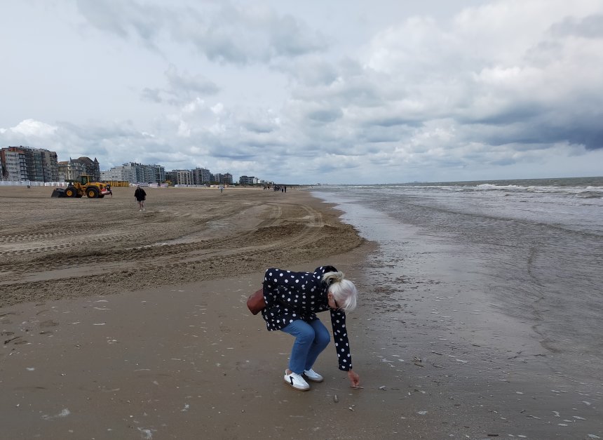 Scheermessen zoeken aan het strand van De Panne.