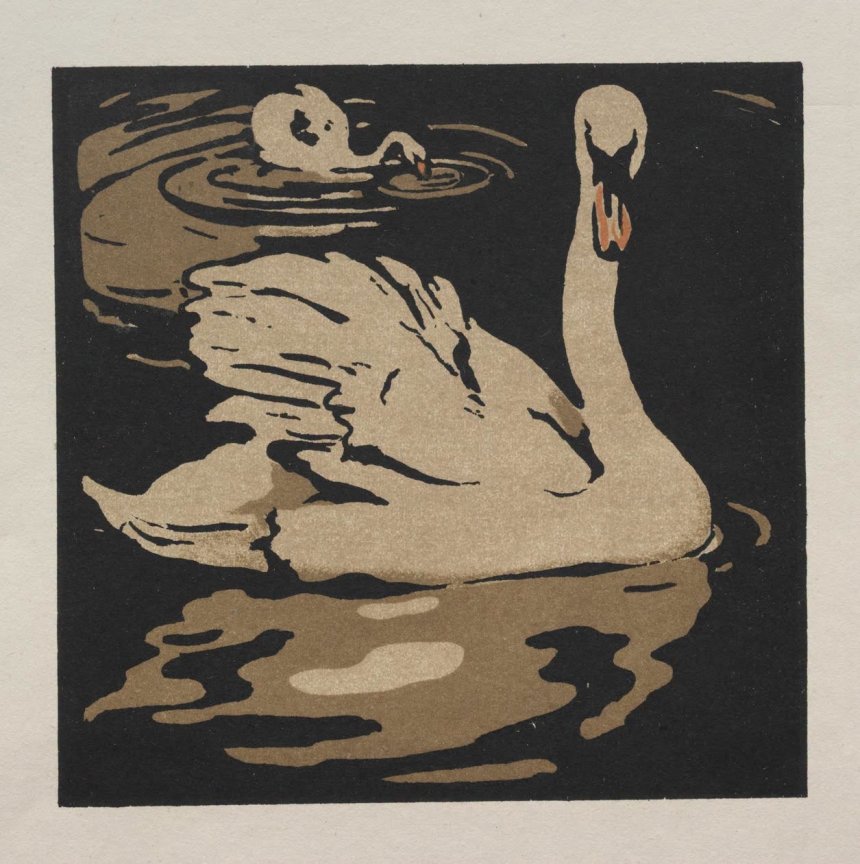 The Beautiful Swan by William Nicholson (met dank aan Hetmooiste Gedicht)