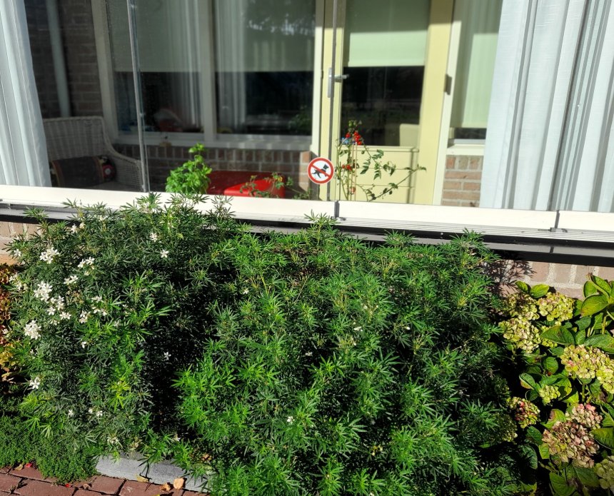 Gorinchem (26.289)